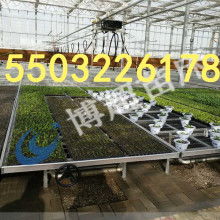 安平縣博超金屬絲網(wǎng)廠專(zhuān)業(yè)供應(yīng)金屬絲網(wǎng)產(chǎn)品